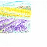 lavandes en provence signature c8