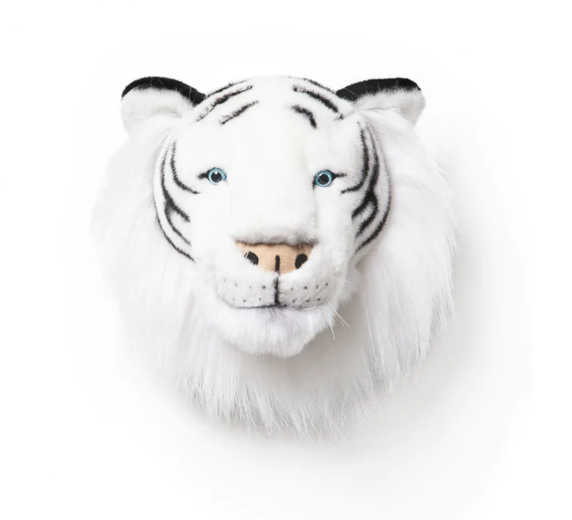 tete-tigre-blanc
