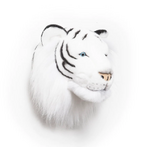tigre-blanc-cote
