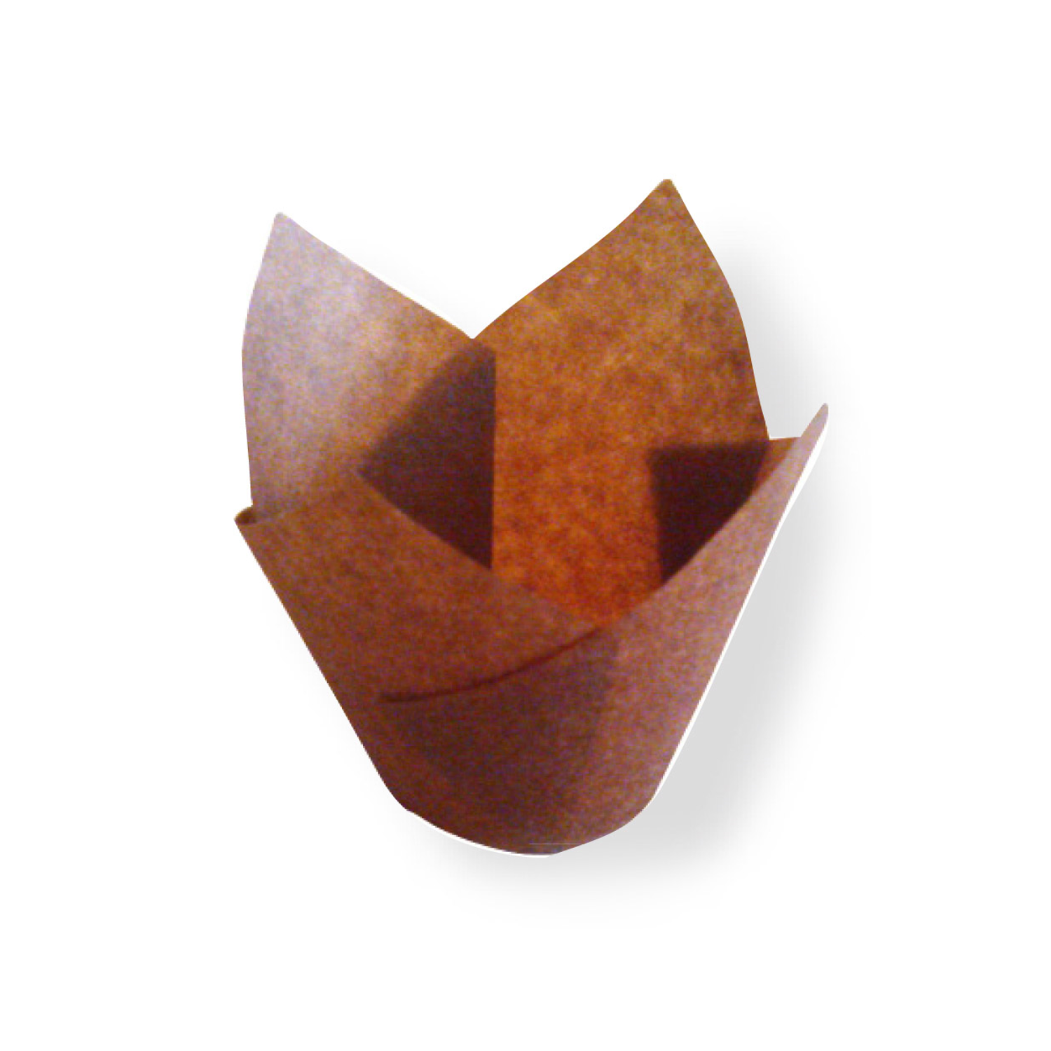 Caissette muffin Tulipe en papier marron L par 1000