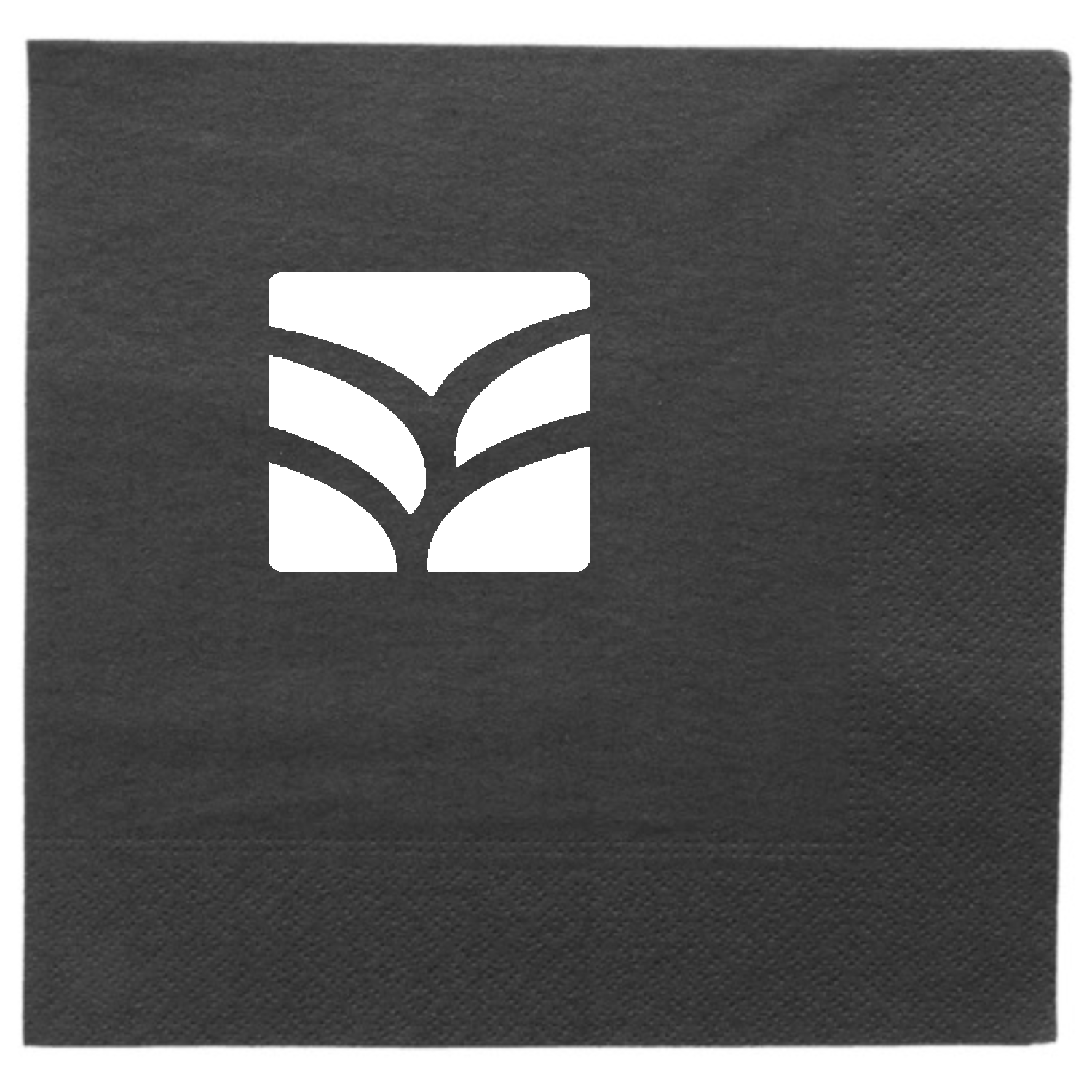 Serviette papier personnalisée noire 2 plis 39x39 cm - ProSaveurs