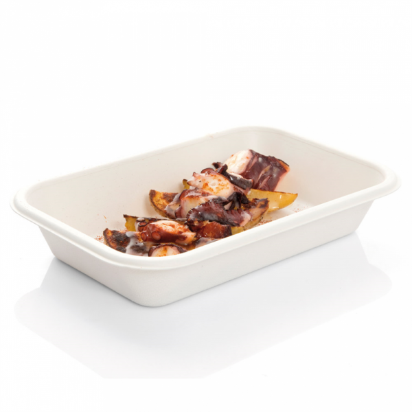 Barquette biodégradable en pulpe de canne à sucre 18x12x3.5 cm 450 ml - ProSaveurs - 1