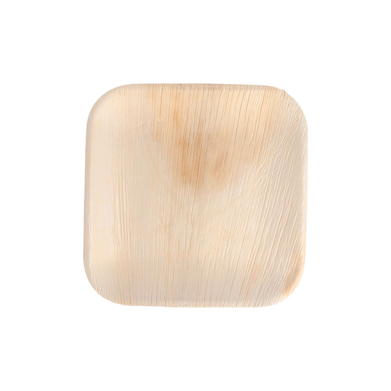 assiette palmier areca 18x18 cm par 200 prosaveurs