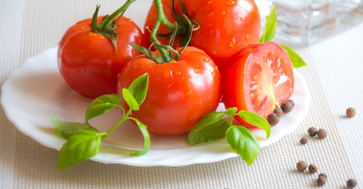 La sauce tomate - Les bases de la cuisine - ProSaveurs