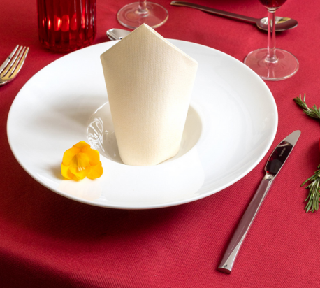 Nappe en papier intissé