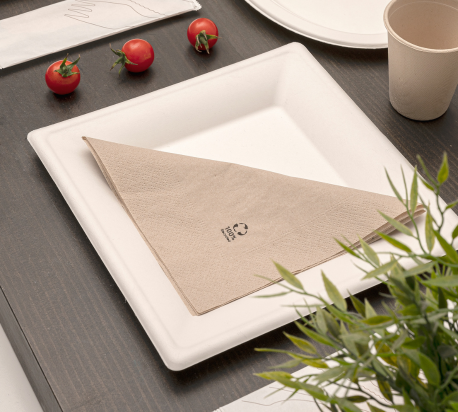 Serviette en papier - Restauration rapide - ProSaveurs