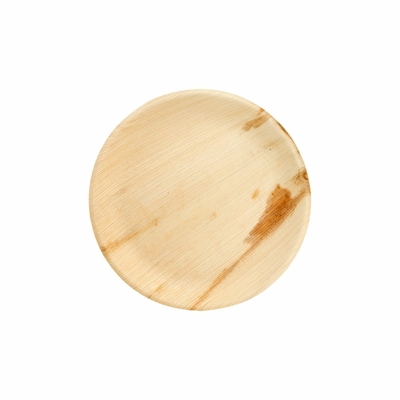 assiette-palmier-areca-diam-18-cm-par-200-prosaveurs