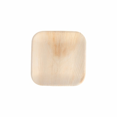 assiette-palmier-areca-12x12-cm-par-200-prosaveurs
