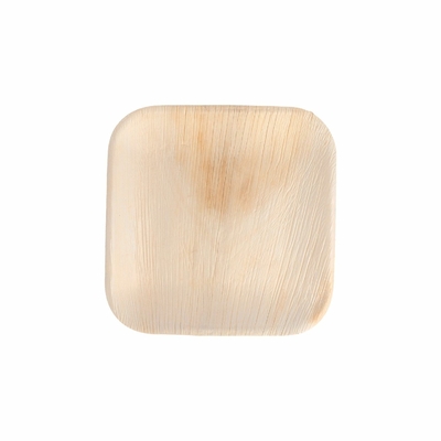 assiette-palmier-areca-15x15-cm-par-200-prosaveurs