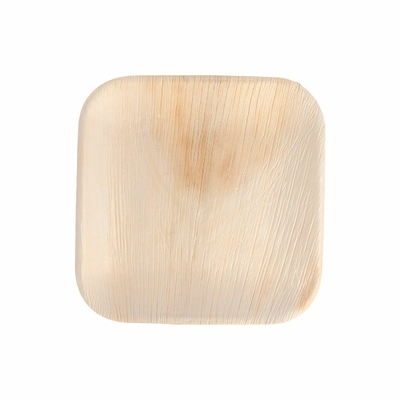 assiette-palmier-areca-24x24-cm-par-200-prosaveurs