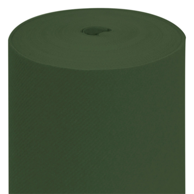 rouleau-nappe-papier-intisse-vert-jaguar-1m20x50-m-prosaveurs