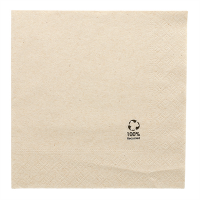 serviette-de-table-2-plis-recyclee-33x33-carton-de-2400-prosaveurs