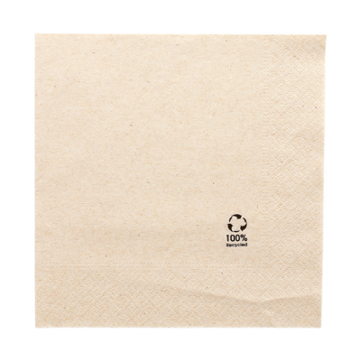 serviette-de-table-2-plis-recyclee-30x30-carton-de-2400-prosaveurs