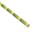 Pailles en papier motifs bambou 21 cm diam 0.6 cm - ProSaveurs