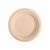 assiette-pulpe-naturel-diam-26-cm-par-500-prosaveurs