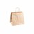 sac-en-papier-kraft-naturel-26-17x24-cm-par-250-prosaveurs