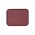 plateau-fast-food-bordeaux-28x36-cm-en-pp-prosaveurs