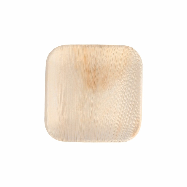 assiette-palmier-areca-15x15-cm-par-200-prosaveurs