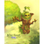 LIVING FOREST DUEL_8