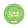 comptoir-francais-du-the-cft-france-alsace-photo-produit-thes-aromatises-mangue-caline-bio-100x100