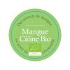 comptoir-francais-du-the-cft-france-alsace-photo-produit-thes-aromatises-mangue-caline-bio-100x100