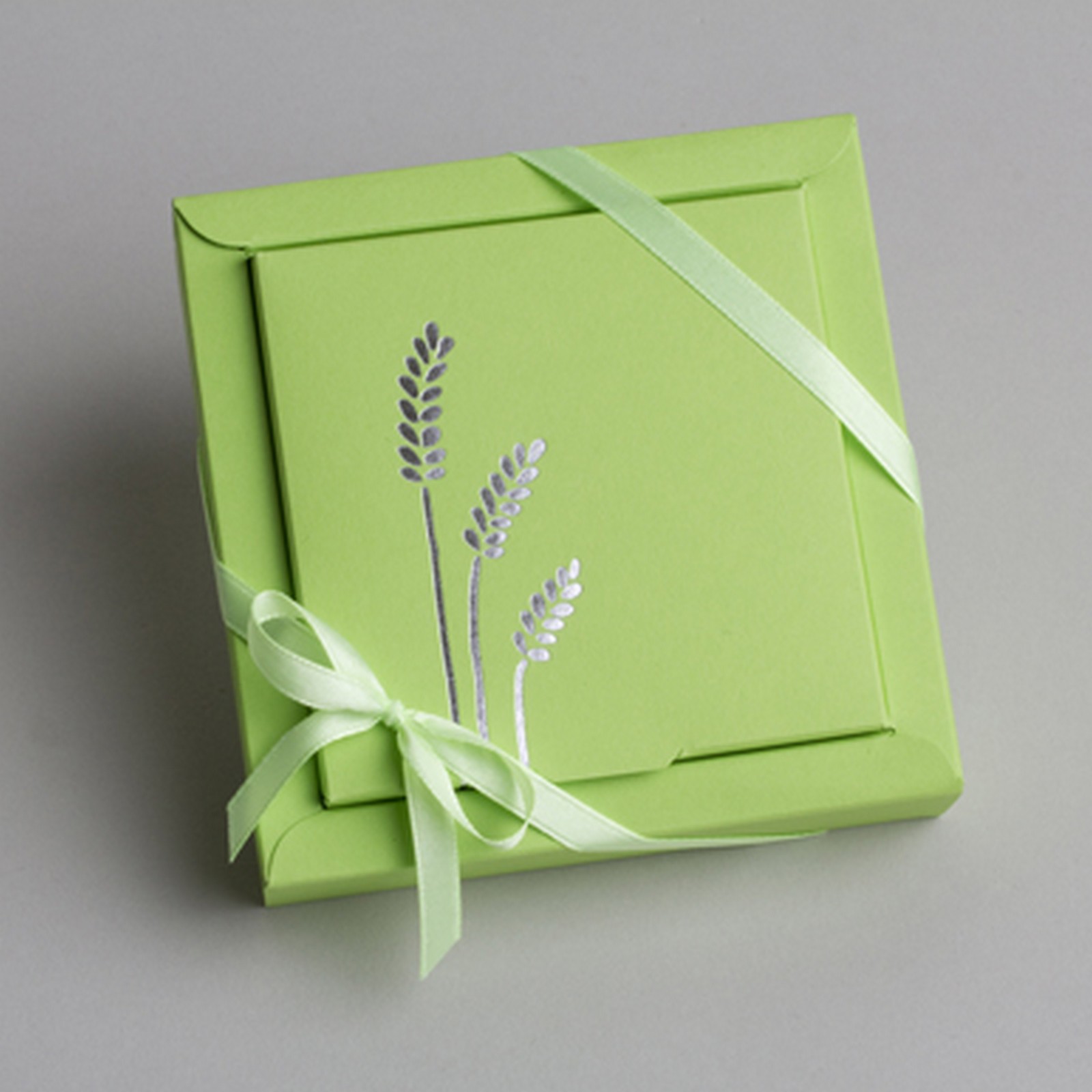 Lot de 2 boîtes à dragées Nina Grand modèle Communion Blé Vert