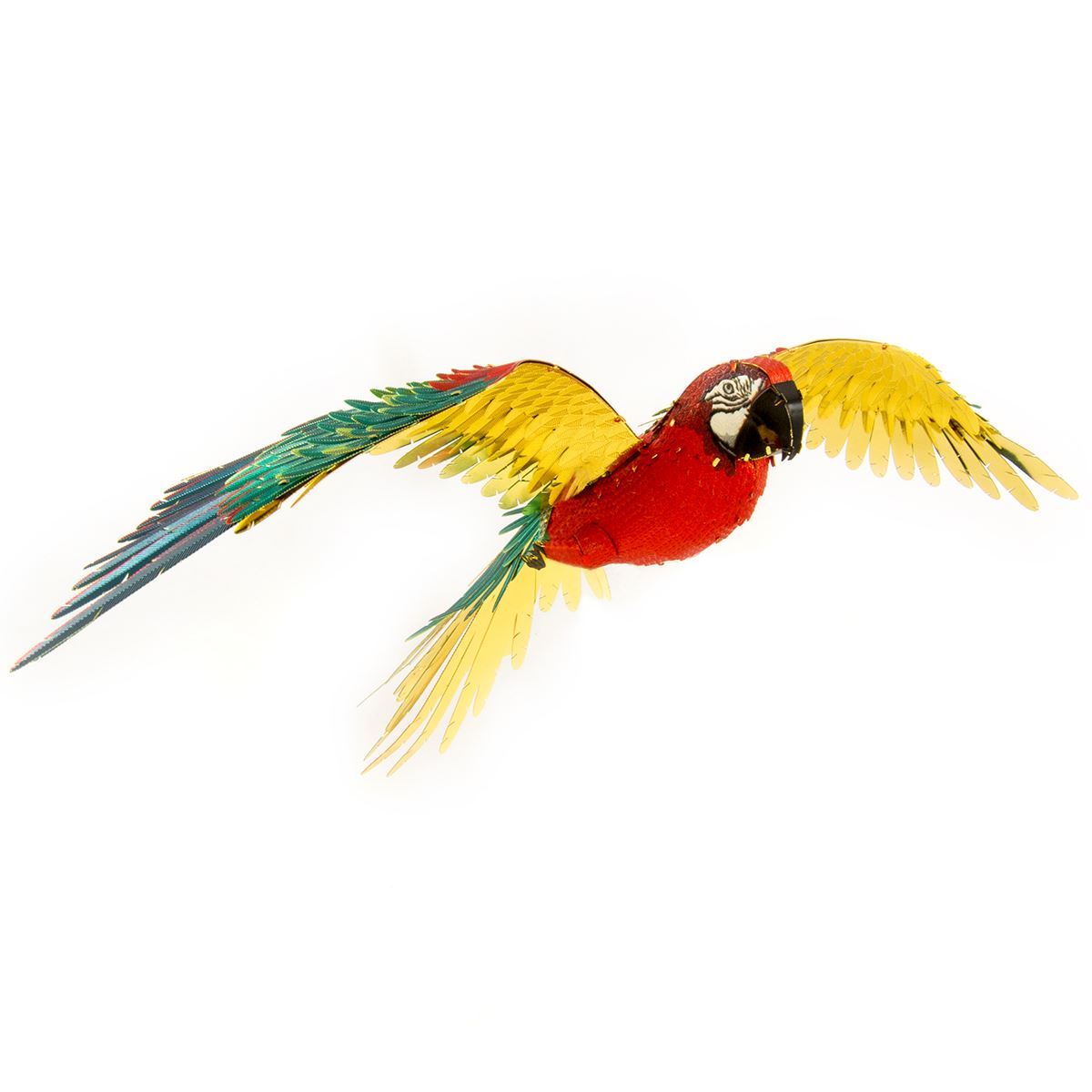 0002807_premium-series-parrot