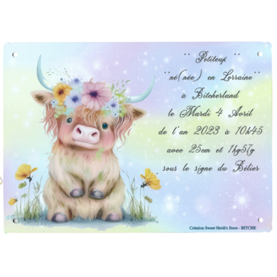 Plaque en métal personnalisée pour naissance modèle au choix