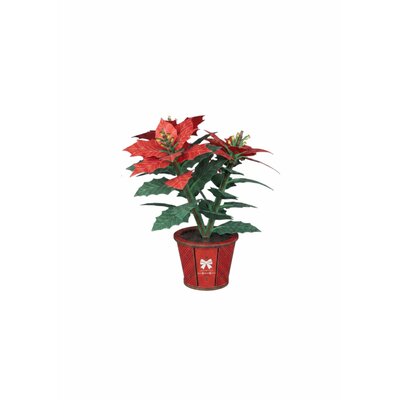Poinsettia en bois Cutebee FWLP108 montée, étoile de Noël rouge et verte