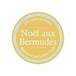 comptoir-francais-du-the-cft-france-alsace-photo-produit-thes-infusions-de-noel-aux-bermudes-1-400x400