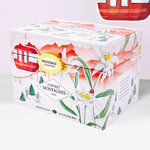 Coffret Tisanes des Montagnes bio, 4 recettes, 20 sachets