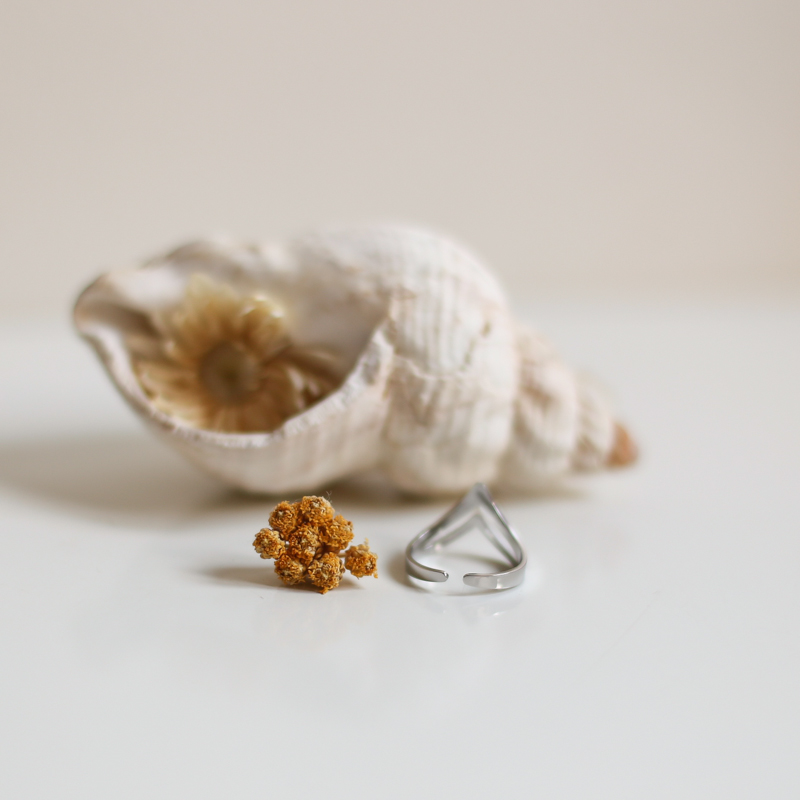bague-acier-argent-alix-arriere