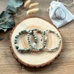 AGATE ARBRE