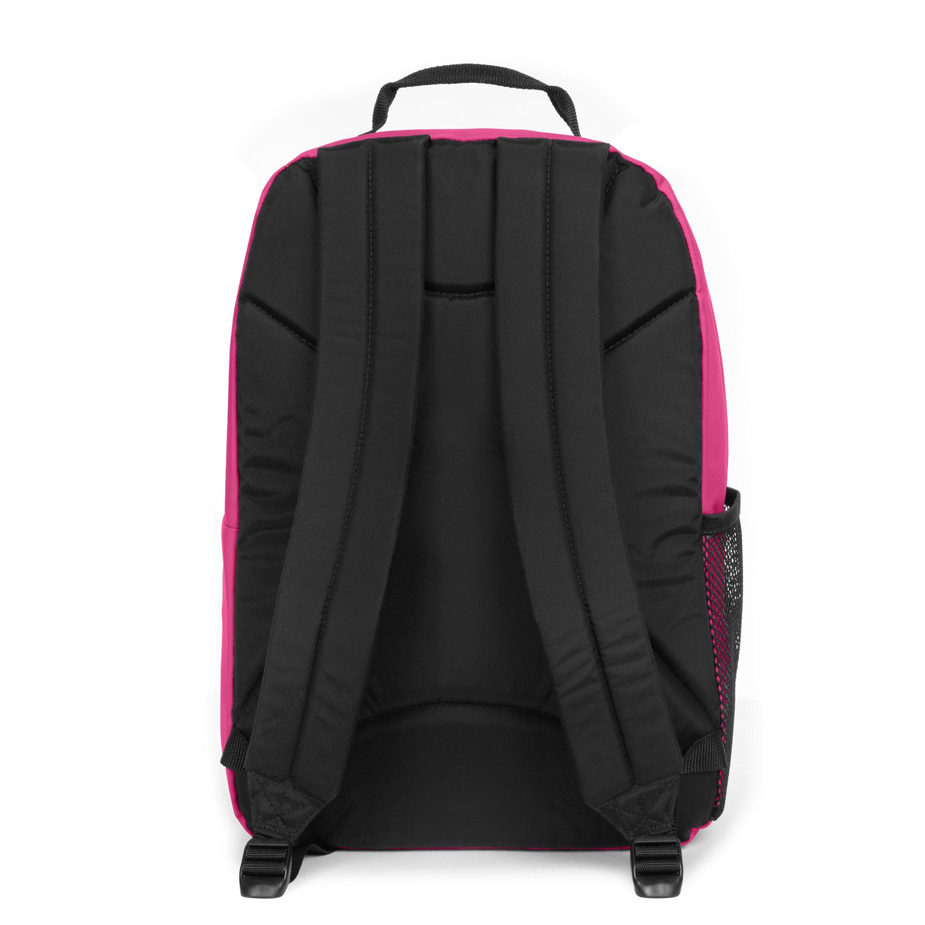 STUDY PINK 5