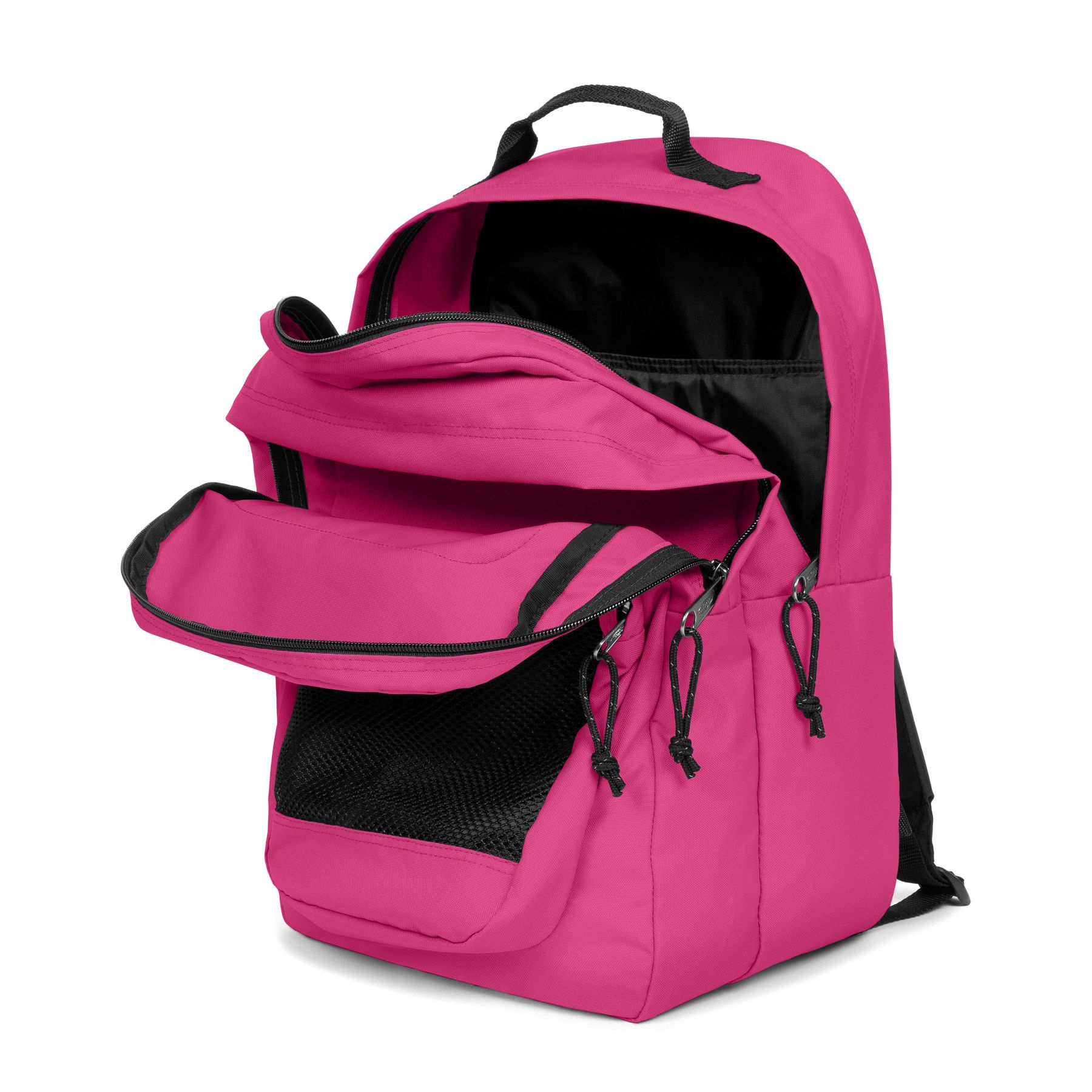 STUDY PINK 2