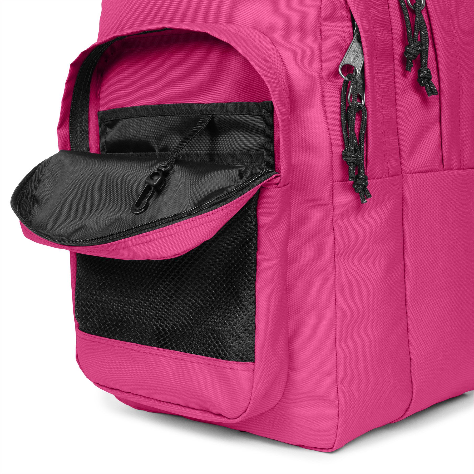 STUDY PINK 4