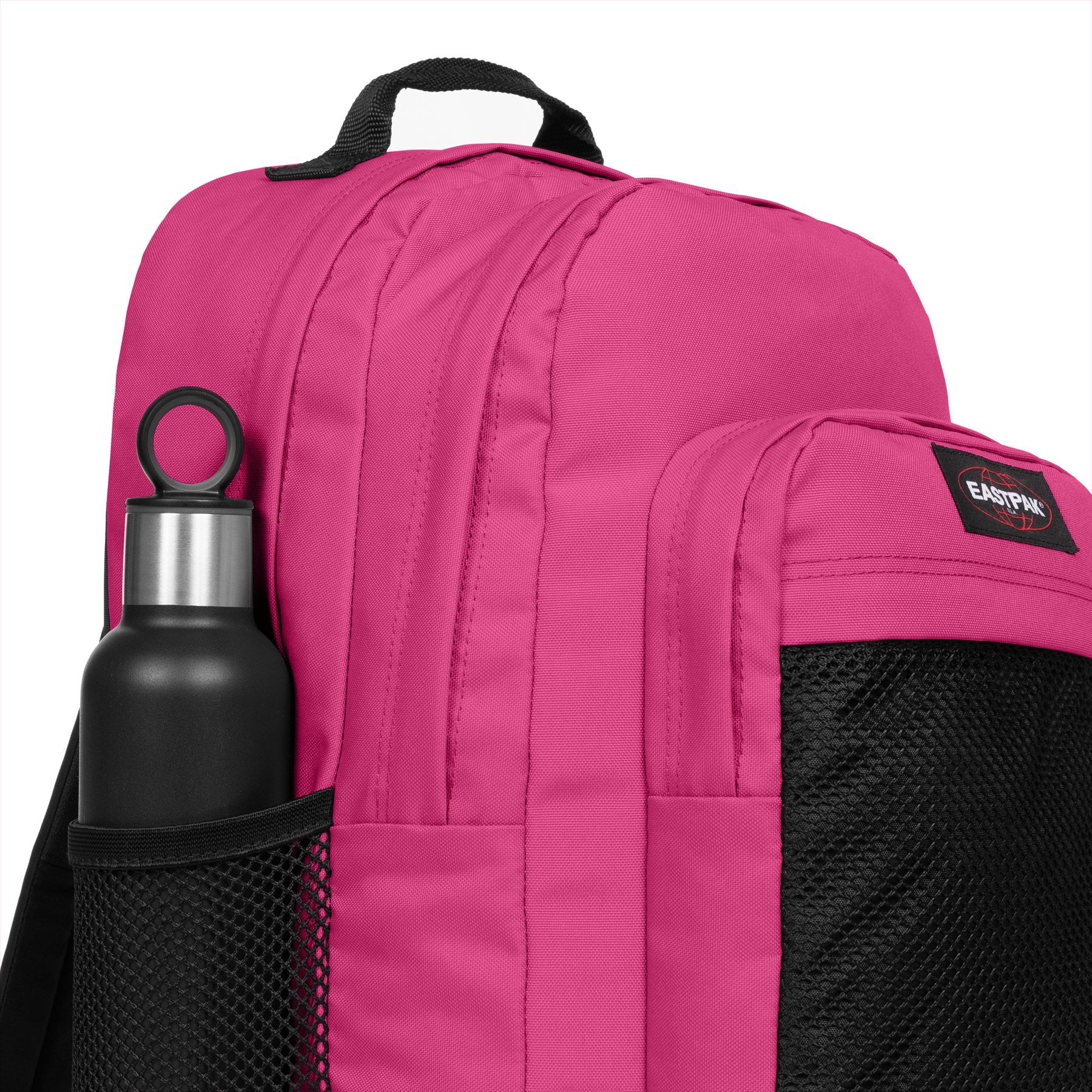 STUDY PINK 3