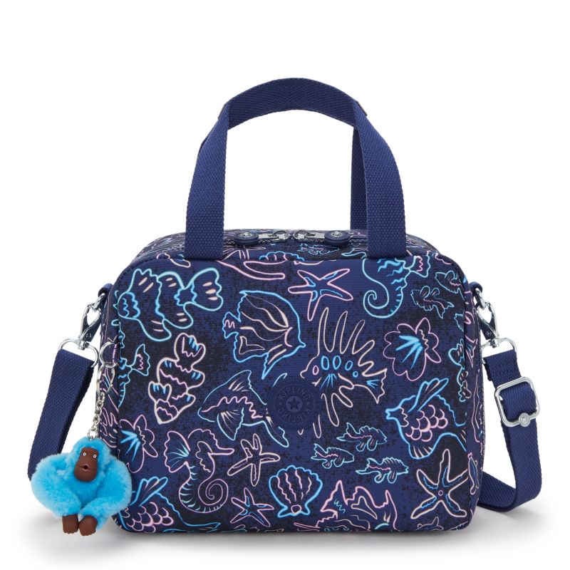 MYIO DISCO FISH 1