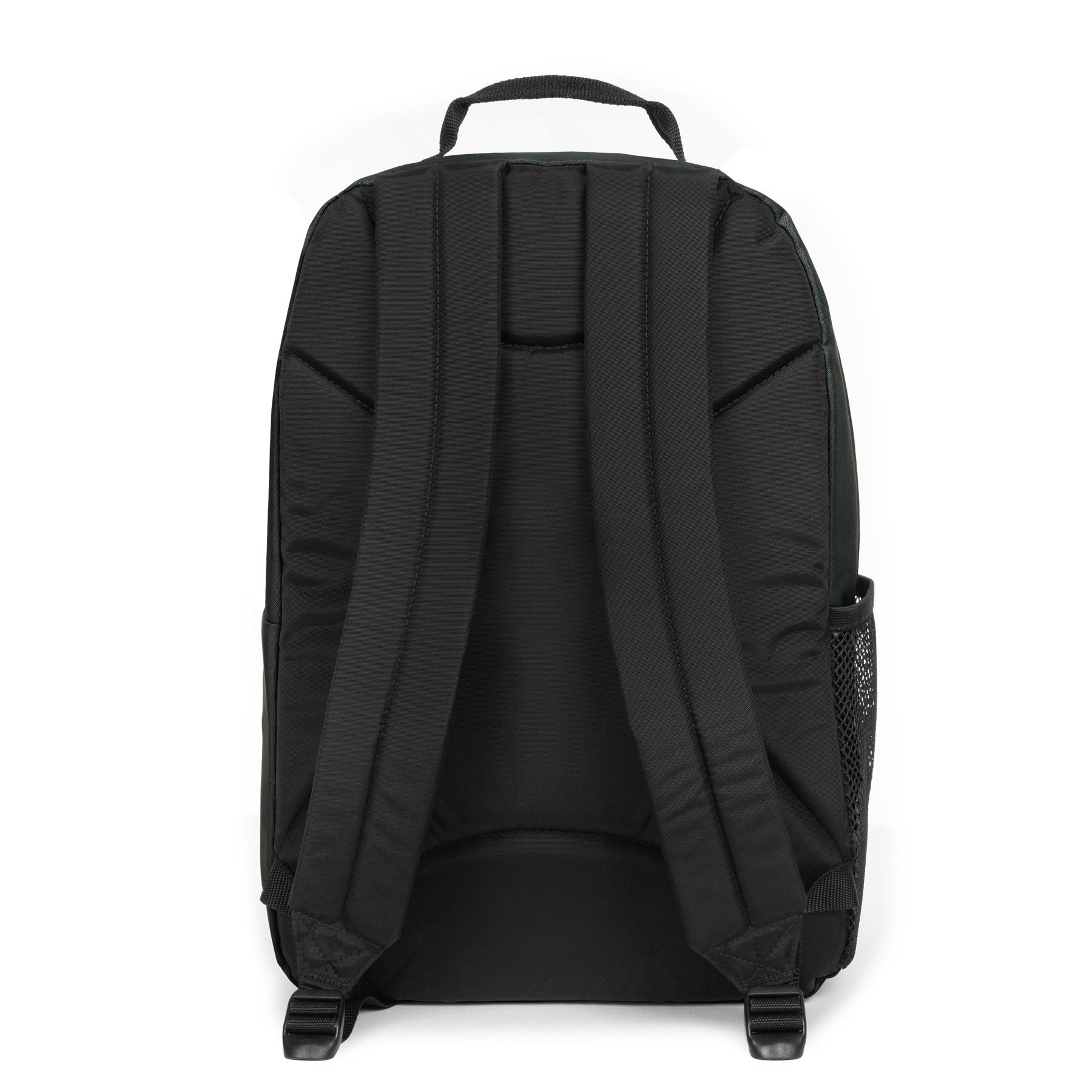 STUDY BLACK 5