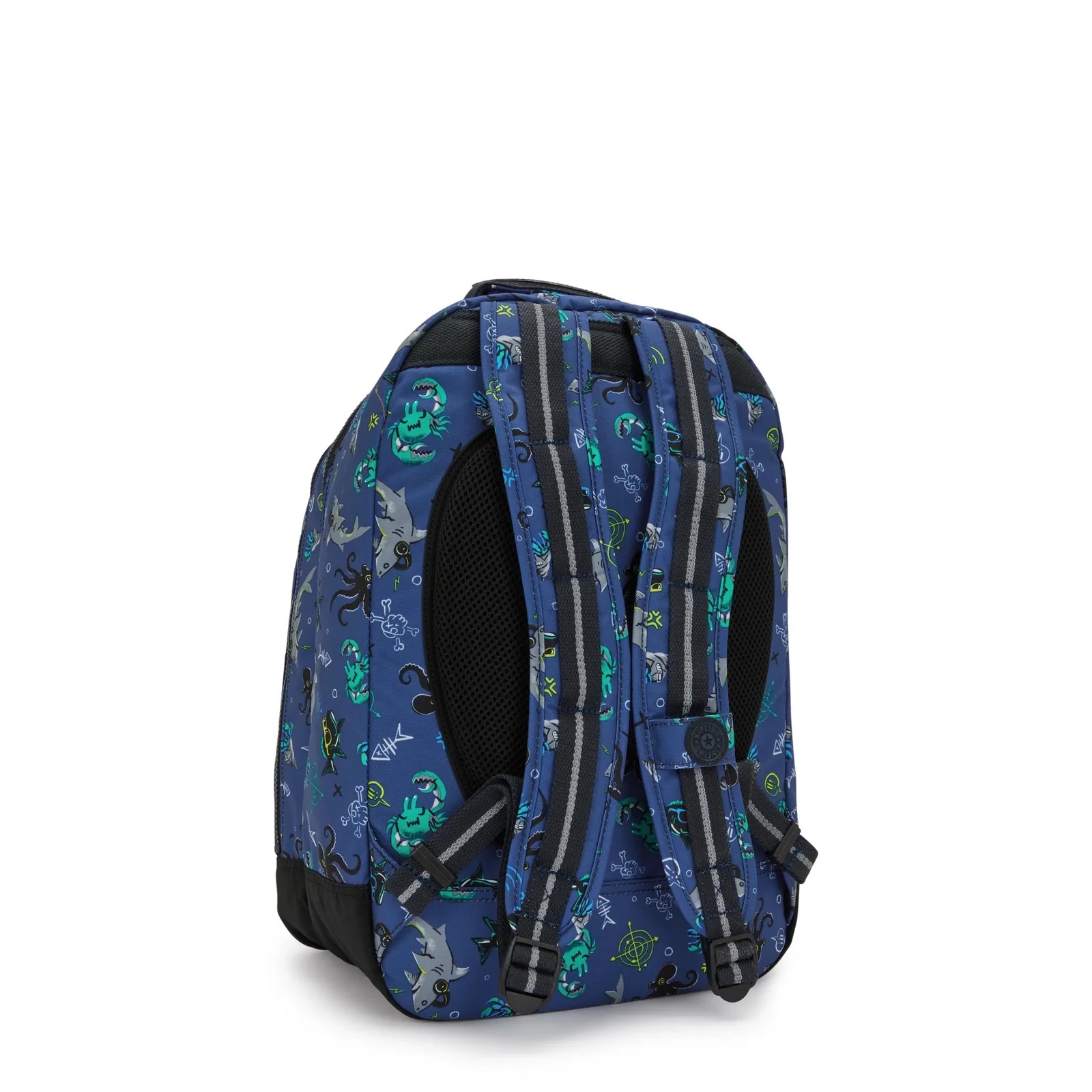 CLASS ROOM UNDERSEA 2