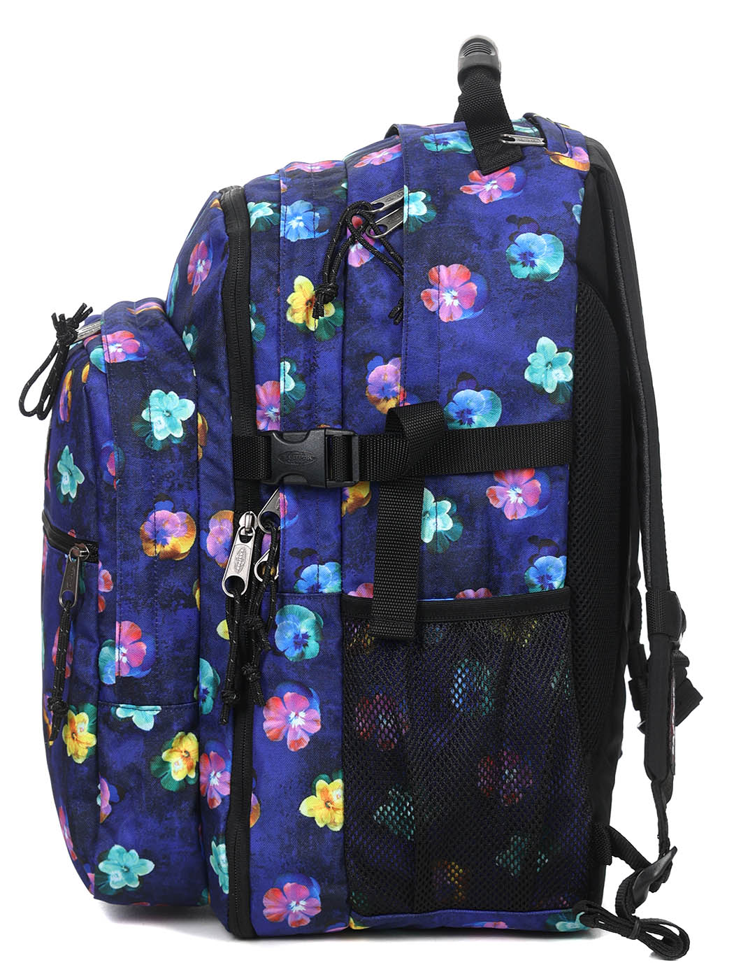 TUTOR FLOWERBLUE 3