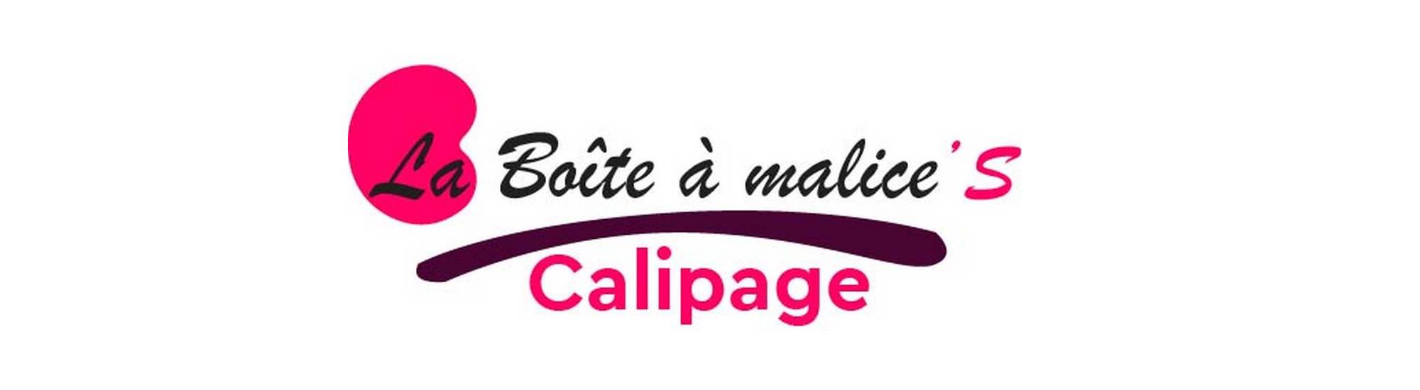 wizi boite a malice