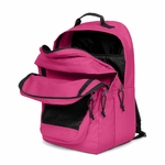 STUDY PINK 2