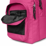 STUDY PINK 4