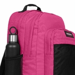 STUDY PINK 3