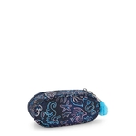DUOBOX DISCO FISH 4