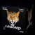 DC806_-_Leopard__88336