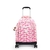 NEW ZEA PINK PALM 1