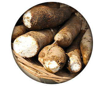 ingredient brulafine manioc