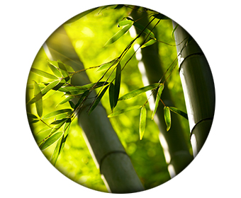 ingredient c konjac bambou